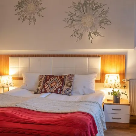 Rys Bed and breakfast